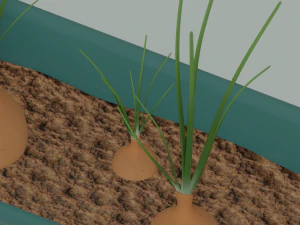 Planter Box with Growing Onions 3D Model