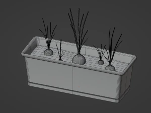 Planter Box with Growing Onions 3D Model