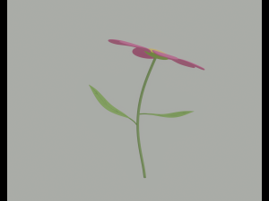 Flower Model 3D