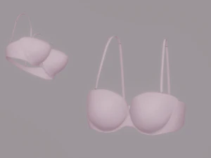 Reggiseno Modello 3D