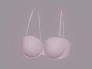 Bra 3D Model