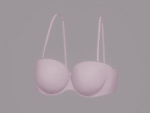ब्रा 3D मॉडल