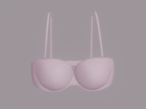 Bra 3D Model