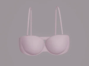 ब्रा 3D मॉडल