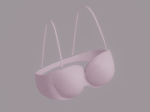 Bra 3D Model