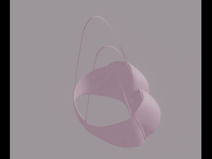 Bra 3D Model