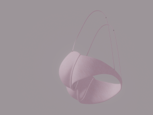 Bra 3D Model