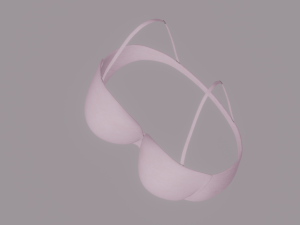 Bra 3D Model