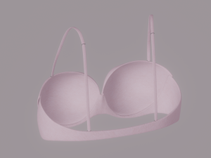Bra 3D Model