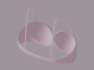 Bra 3D Model