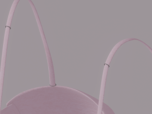 Bra 3D Model