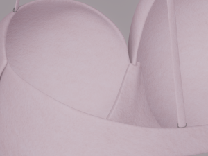 Bra 3D Model