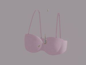 Bra 3D Model