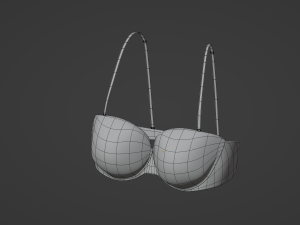 Bra 3D Model