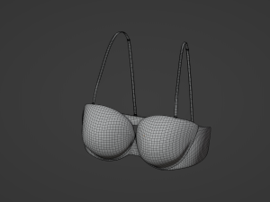 Bra 3D Model
