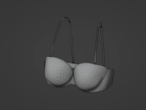 ब्रा 3D मॉडल