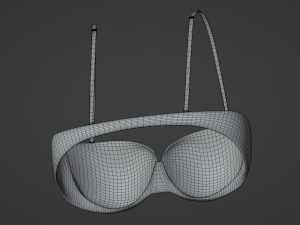 Bra 3D Model