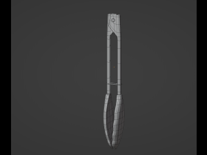Tongs Model 3D