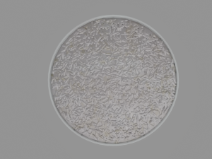 Rice Bowl 3D Model