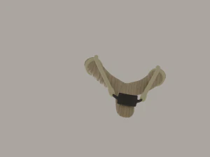 Slingshot 3D Model