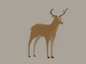 Deer 3D Model