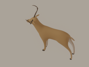 Deer 3D Model