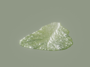 Lettuce Leaf 3D Модель