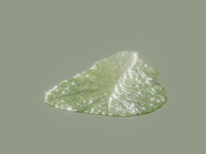 Lettuce Leaf 3D Model
