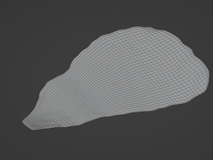 Lettuce Leaf 3D Модель