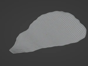 Lettuce Leaf 3D Model