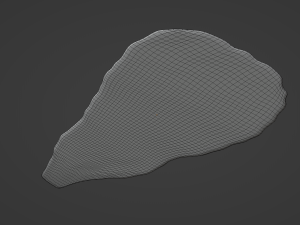Lettuce Leaf 3D Модель