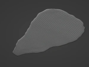 Lettuce Leaf 3D Model