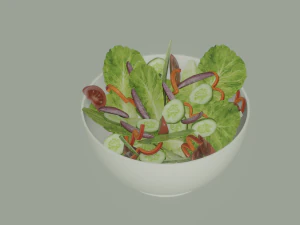 Bowl of Salad 3D Model
