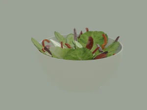 Bowl of Salad 3D Model