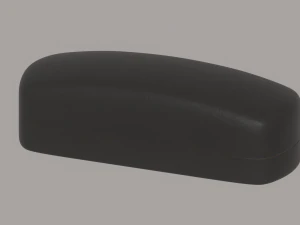 Glasses Case 3D Model