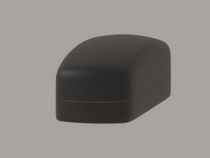 Glasses Case 3D 모델