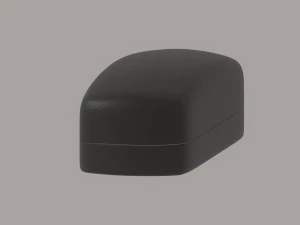Glasses Case 3D Model