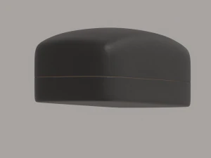 Glasses Case 3D Model