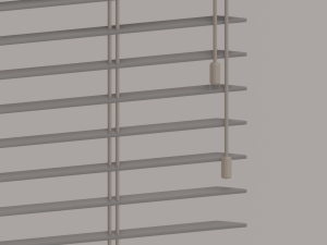 Blinds 3D Model