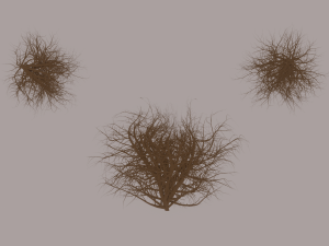 Tumbleweed 3D Model