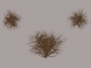 Tumbleweed 3D मॉडल