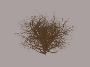 Tumbleweed Modelo 3D