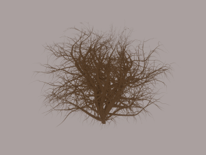 Tumbleweed Modelo 3D