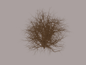 Tumbleweed Modelo 3D