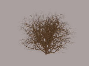 Tumbleweed Modelo 3D