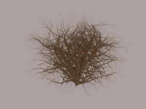 Tumbleweed Modelo 3D