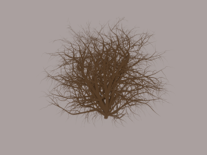 Tumbleweed Modelo 3D