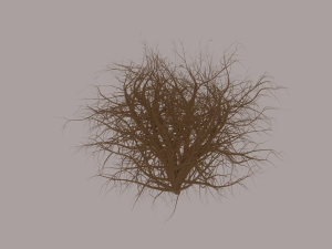 Tumbleweed Modelo 3D