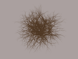 Tumbleweed Modelo 3D