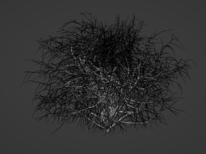 Tumbleweed Modelo 3D